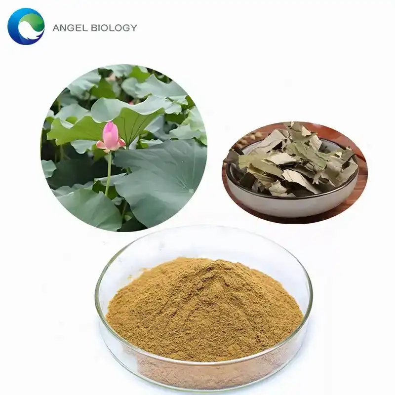 The Complete Guide to Lotus Leaf Extract in 2025